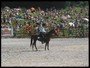 Rodeo na Murni: slovensk cowboy