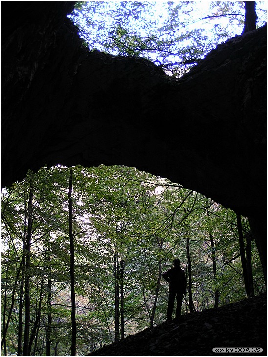 ruz_0115.jpg