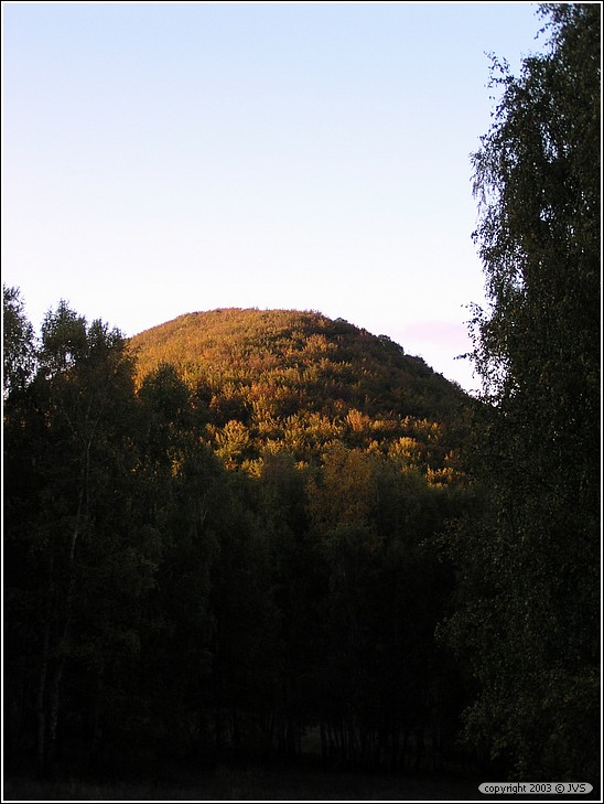 ruz_0120.jpg