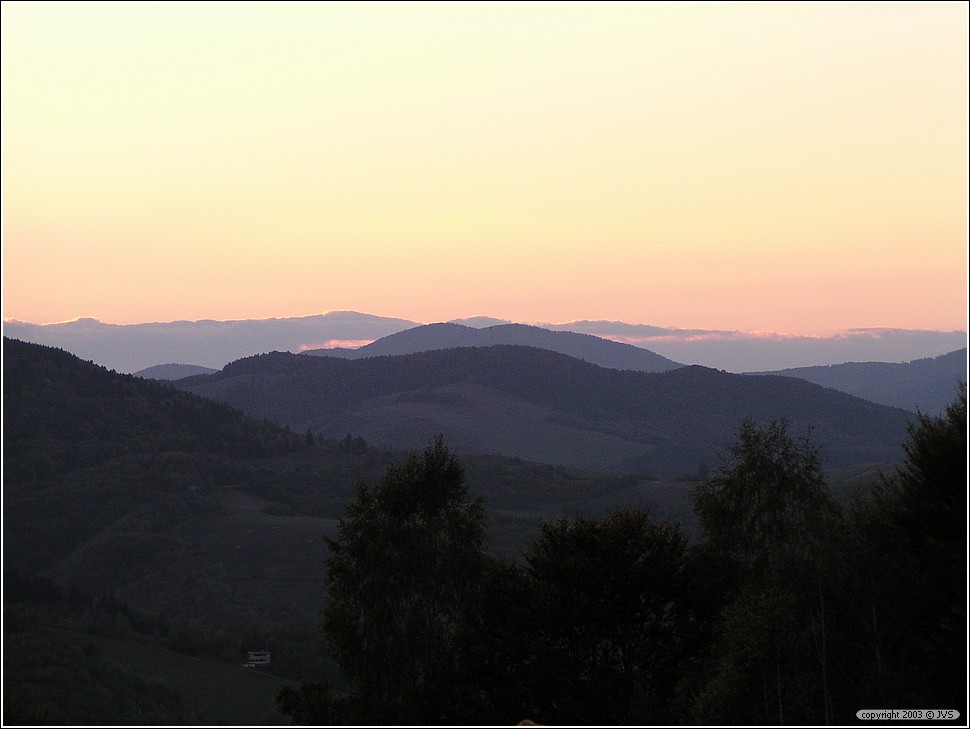 ruz_0123.jpg