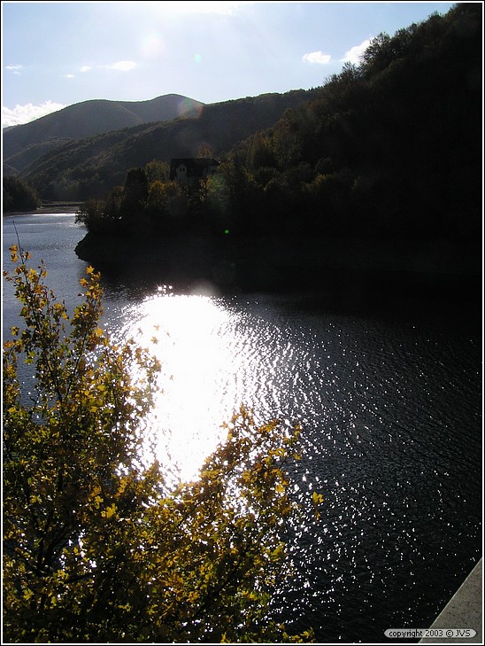 ruz_0211.jpg