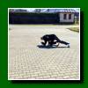 Akcia sa za�ala nev�dan�m akrobatick�m v�konom najstar�ieho (v Tatr�ch zocelen�ho) JVS-�ka